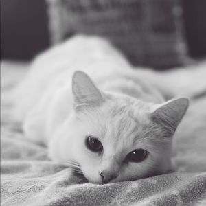 Meet your Posher, Gina